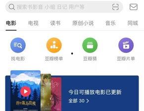 八卦豆瓣,揭秘网络文化现象背后的故事